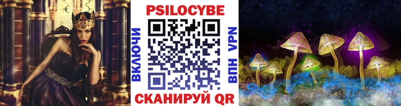 Псилоцибиновые грибы Cubensis  гидра сайт  Собинка 
